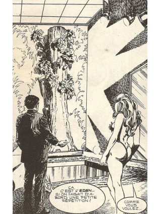 HORS SERIE JAUNE 16 - ELVIFRANCE