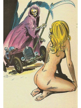 TERRIFICOLOR 43 - ELVIFRANCE