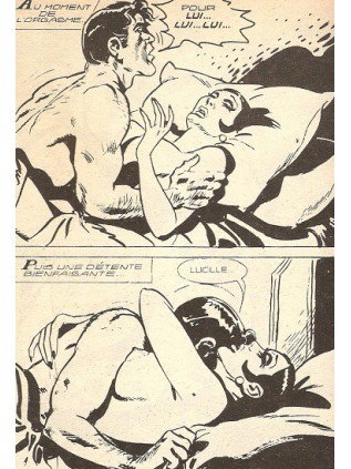 SERIE JAUNE  26 - ELVIFRANCE