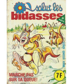 SALUT LES BIDASSES  72 - ELVIFRANCE