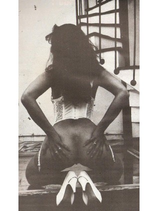 LE NOUVEAU LETTRES DE FEMMES ALBUM 25