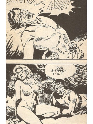 SUPER TERRIFIANT 32 - ELVIFRANCE