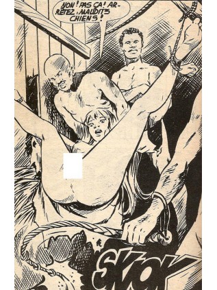 SERIE JAUNE 112 - ELVIFRANCE