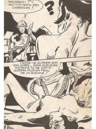 SERIE VIOLETTE 04 - ELVIFRANCE