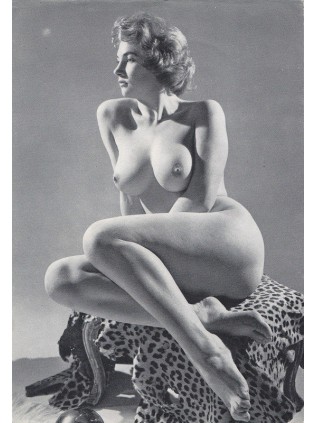 ETUDES PLASTIQUES 10