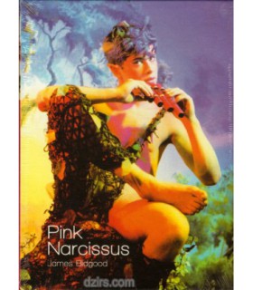 PINK NARCISSUS Edition Collector
