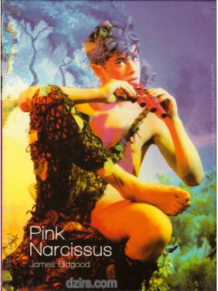 PINK NARCISSUS Edition Collector