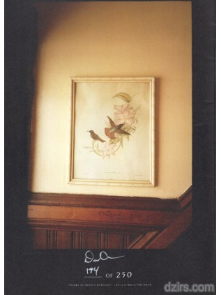 Darren Ankenman - Andrea