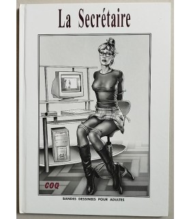 COQ LES AVENTURES DE KARINE 2 La secretaire